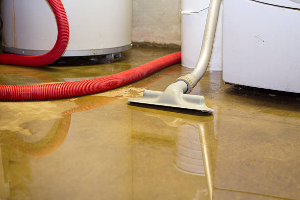 Reliable Hillcrest, NY Water damage restoration Solutions